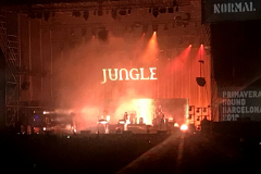 Jungle 02